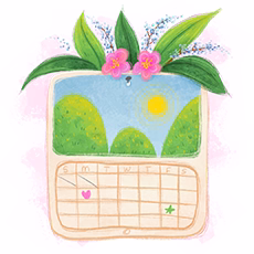 Calendar illustration icon